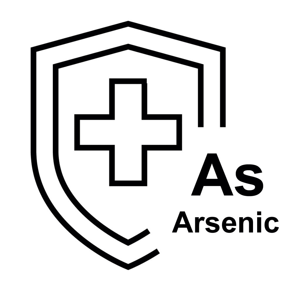GFH 10 SX TS - Filtro de agua Arsenico